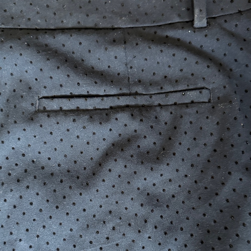 LOFT Plus Dark Blue Pants with Black Dots - Picture 10 of 12